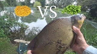 Какая рыба клюет на консервированную кукурузу