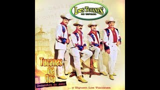 Los Tucanes De Tijuana - Secuestro De Amor (Video Oficial)