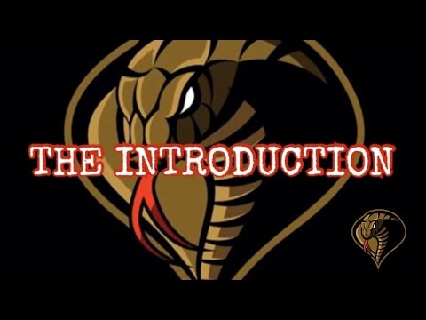 THE INTRODUCTION (The viper squad)