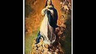 Mary Immaculate Star of the Morning Video