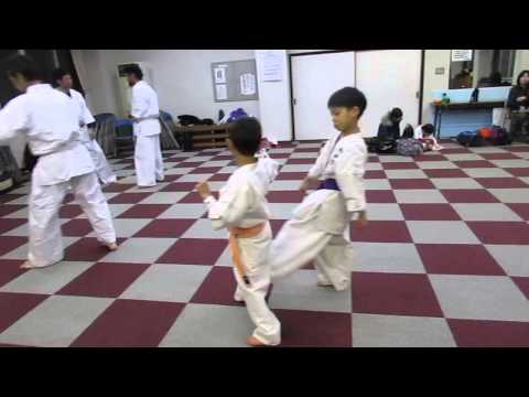 八坂道場　中段回し蹴りに対する受け返し