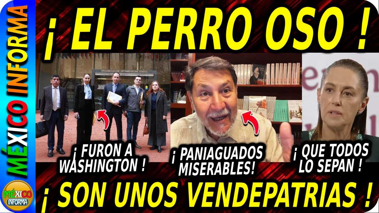 HACEN EL PERRO OSO: PANIAGUADOS SOLOS EN WASHINGTON. SON UNOS VENDEPATRIAS.