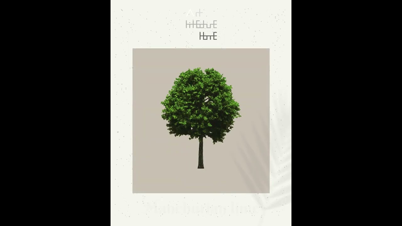 Real Tree Cliparts - Manchurian lime - photoshop overlays png, Tree layout, transparent background