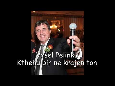 Vesel Pelinku - Hajde bir ne krajen ton (Official Music)