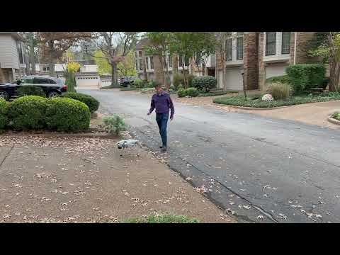 Unitree Go2 Robot Dog