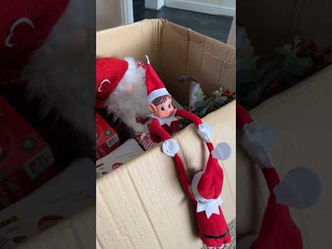 Elves Behavin Badly #holidayswithshorts