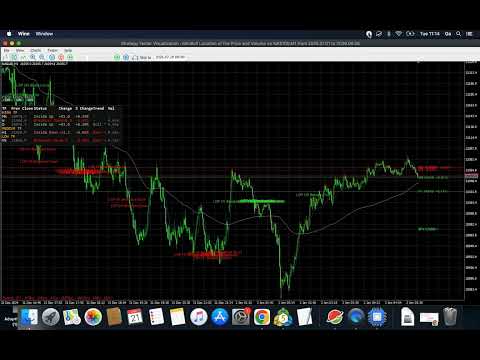 Video MiniBull Location of the Price and Volume