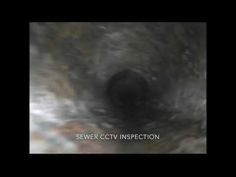 How to cut out tree roots from sewer line