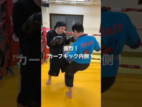 [キックボクシング　格闘技　トレーニング] 強烈！　カーフキック内側！　#キックボクシング #格闘技 #トレーニング