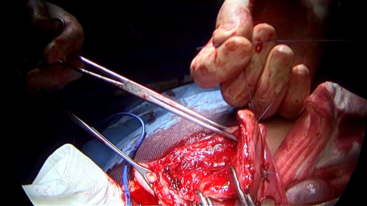 Fernando Medina Fernandez-Aceytuno-5