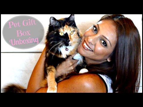 Pet Gift Box Unboxing + My Cat's Reaction! │ Monthly Pet Subscription Box Review! Video