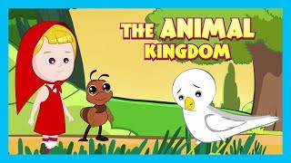 The Animal Kingdom | Tia and Tofu Storytelling
