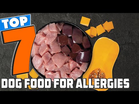 7 Best Dog Foods to Combat Allergies and Improve Health