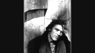 Robyn Hitchcock - Young People