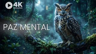 PARE de Pensar Demais AGORA | Música Para Dormir & Eliminar Ansiedade (4k)