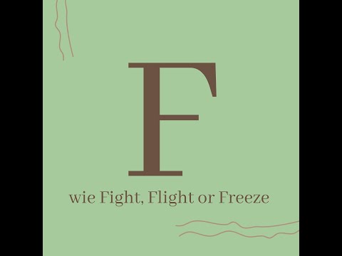 Psychologisches Wissen kurz erklärt: F wie Fight Flight Freeze Modus