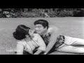 Clips From The Song Hello Sweety Hello