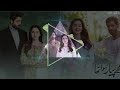 Mujhe Pyaar Hua Tha Drama Sad Bgm Kahani Suno Ost Bgm Pakistani Drama Bgm Top Trending Ringtone