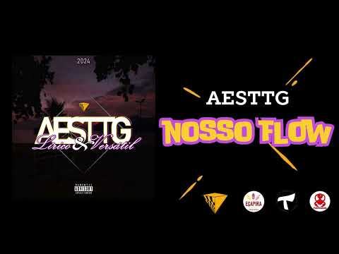 AESTTG - NOSSO FLOW
