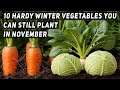 10 Hardy Winter Vegetables You Can Still Plant In November Year Round Growing Secrets