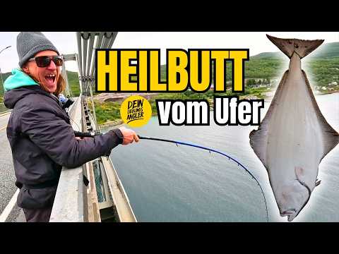 FISHING in NORWAY for HALIBUT from the shore - No one will believe it!