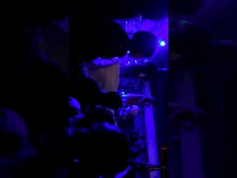 Royal steady reggae steady beat Bandung -  Tempe Bongkrek (Cover)