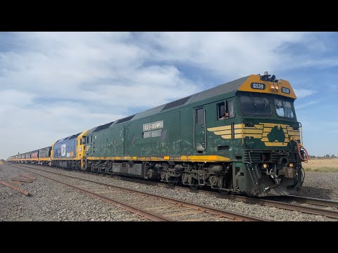 Down 7731V empty Pacific National grain with G539 and BL33 arriving at Gheringhap loop 28/3/2025