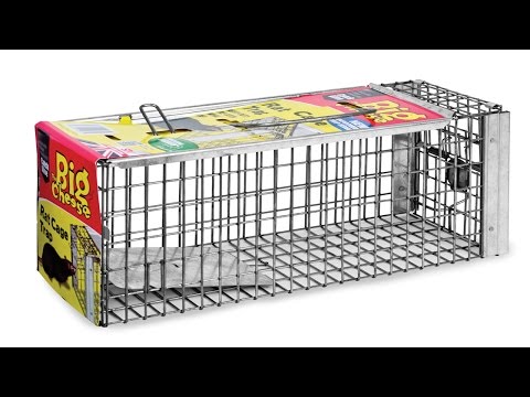 Rat Cage Trap - Humane Rat Trap from The Big Cheese