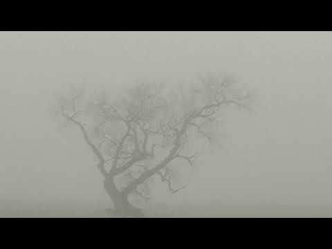 YKS DK3 - “BOSSED UP”