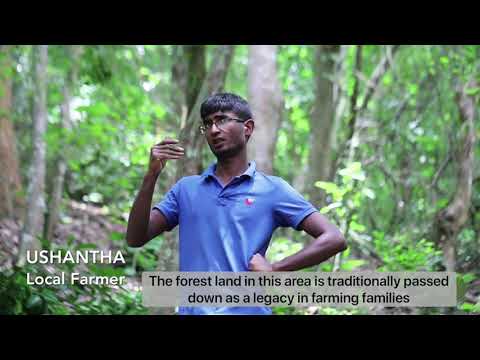 Protect our Kandyan Forests