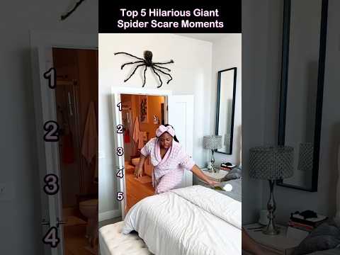 Top 5 Hilarious Giant Spider Scare Moments 😂🤣