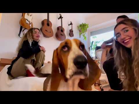 AnaVitória e Lagum - universo de coisas que eu desconheço