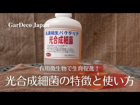 園芸 土壌生物学