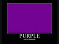 Start Wearing Purple 