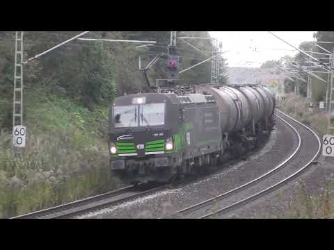 Züge im Oktober 2023: 218 308, Wiebe 09-3X, AKE Rheingold, 110 513 mit Sonderzug, DE18, 260 205