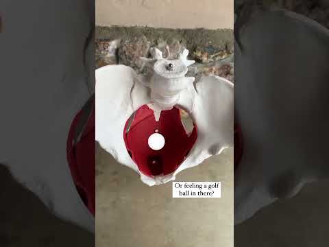 Tight pelvic floor? Pain with bowel movements?