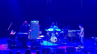 Yo La Tengo - You Stupid Asshole (Angry Samoans cover)