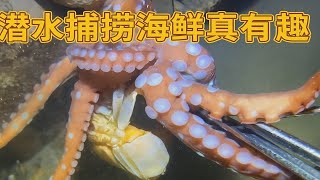 潜水捕捞海鲜真有趣