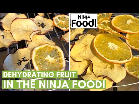 Dehydrating Fruit in the Ninja Foodi