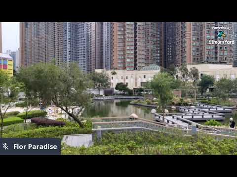 Welcome to my Paradise