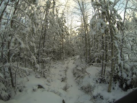 Vieläkin sataa LUNTA