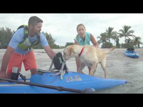 Perception Kayaks | Hi Life Overview