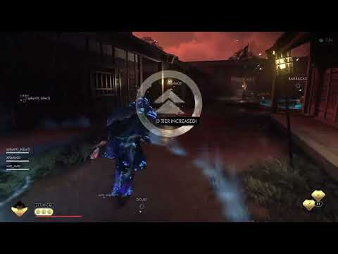 Insane Healing Ronin Build