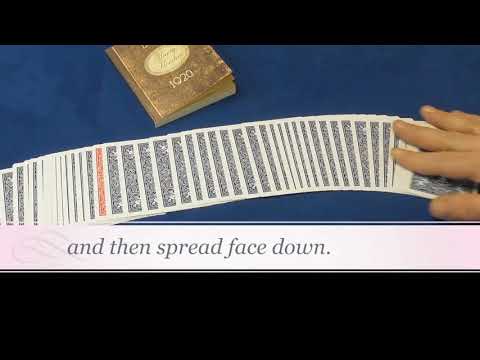 Houdini's Diary By Wayne Dobson