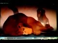 The Lion King Stampede The King Is Dead