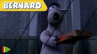 🐻‍❄️ BERNARD  | Collection 34 | Full Episodes | VIDEOS and CARTOONS FOR KIDS