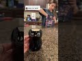 The Return Of Cat Mode Catmode
