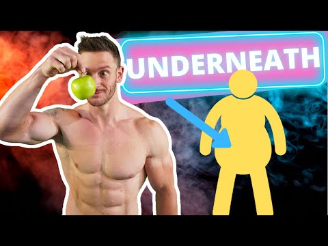 Sneaky Cause of Visceral Fat (Pot Belly)- Fructose and HFCS