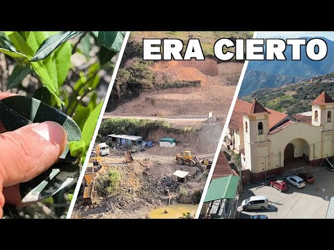 LA RUTA DE LA COCA | Esto es lo que nadie muestra de los Yungas 🍃
