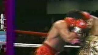 Roy Jones Jr. vs Vinny Pazienza (06-24-1995) (2/4)